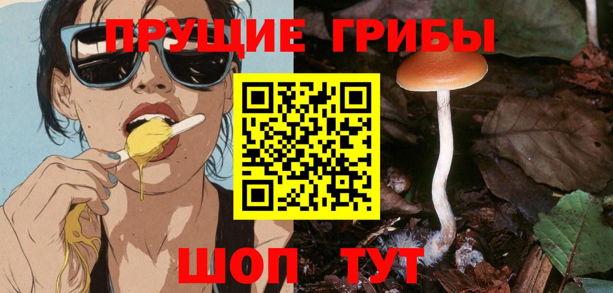 Галлюциногенные грибы ЛСД  Галлюциногенные грибы MAGIC MUSHROOMS  Чернушка  Вход с VPN 