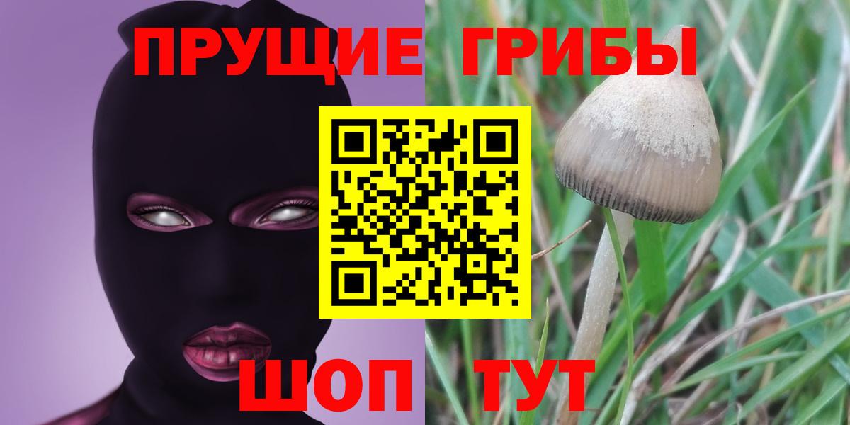 Псилоцибиновые грибы ЛСД Чернушка